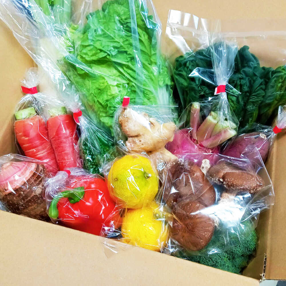 【ふるさと納税】【4回定期便】高知県産 土佐 季節の野菜 詰め合せセット /3ヵ月に1回【香稜苑】[ATBQ010] 訳あり 不揃い 規格外 野菜 定期 定期便 詰め合わせ セット 高知 やさい 季節もの 新鮮 野菜セット おまかせ 旬 産地直送 農家直送 おいしい 美味しい - 画像2