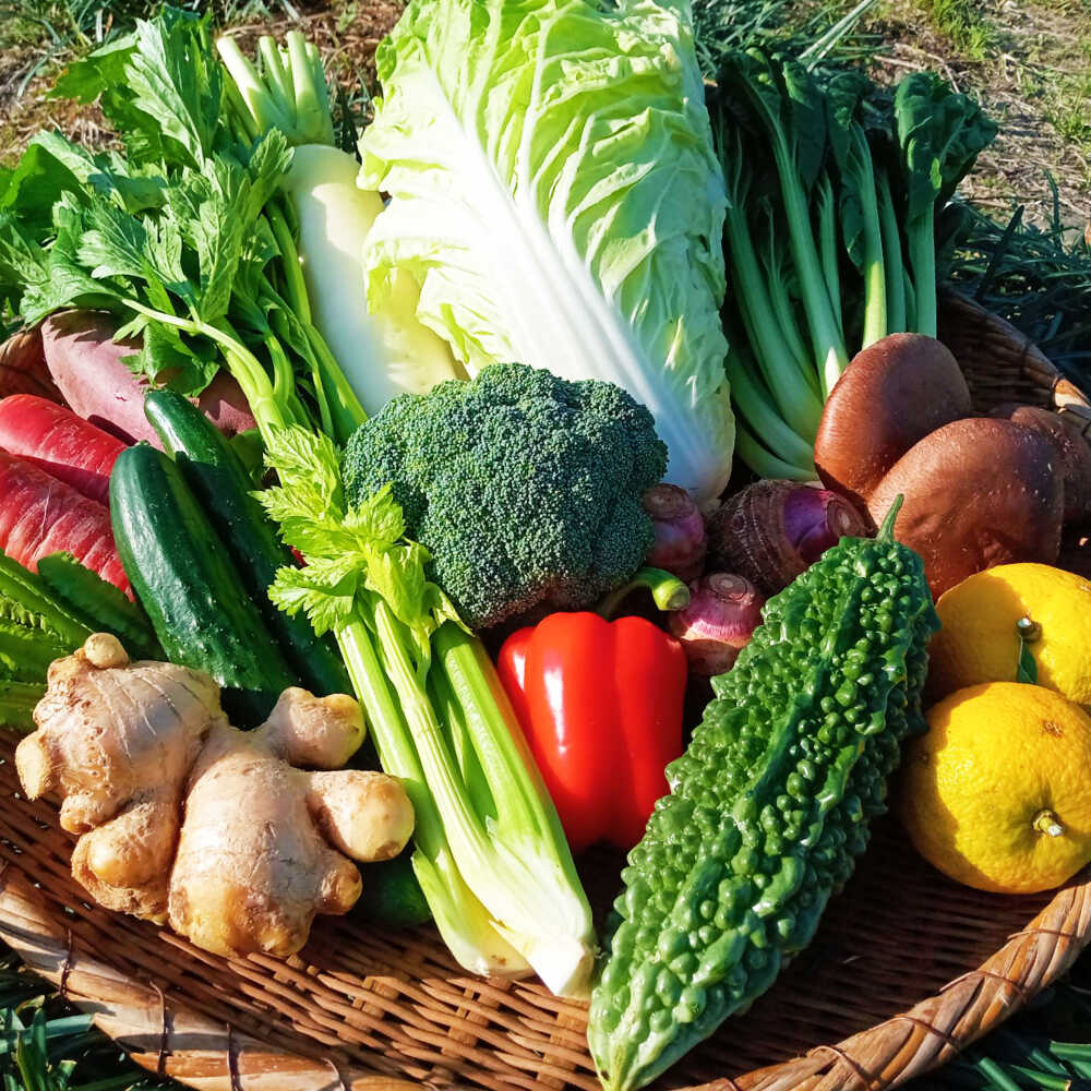 【ふるさと納税】【4回定期便】高知県産 土佐 季節の野菜 詰め合せセット /3ヵ月に1回【香稜苑】[ATBQ010] 訳あり 不揃い 規格外 野菜 定期 定期便 詰め合わせ セット 高知 やさい 季節もの 新鮮 野菜セット おまかせ 旬 産地直送 農家直送 おいしい 美味しい - 画像3