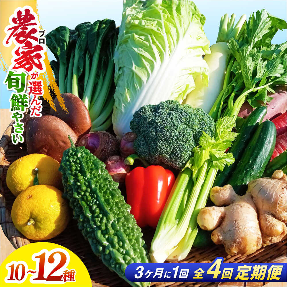 【4回定期便】高知県産 土佐 季節の野菜 詰め合せセット /3ヵ月に1回【香稜苑】[ATBQ010] 訳あり 不揃い 規格外 野菜 定期 定期便 詰め合わせ セット 高知 やさい 季節もの 新鮮 野菜セット おまかせ 旬 産地直送 農家直送 おいしい 美味しい