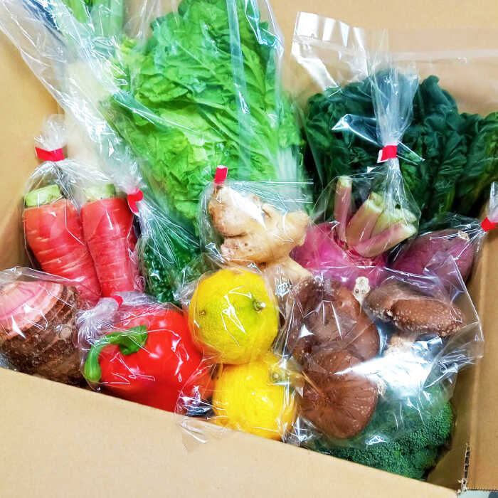 【ふるさと納税】【6回定期便】高知県産 土佐季節の野菜詰め合せセット/隔月 2ヵ月に1回 野菜 定期 お野菜 高知 やさい 季節もの 【香稜苑】[ATBQ011] 訳あり 不揃い 規格外 - 画像2