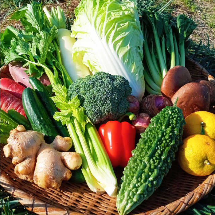 【ふるさと納税】【12回定期便】高知県産 土佐季節の野菜詰め合せセット/毎月 野菜 定期 お野菜 高知 やさい 季節もの【香稜苑】[ATBQ012] 訳あり 不揃い 規格外 - 画像3