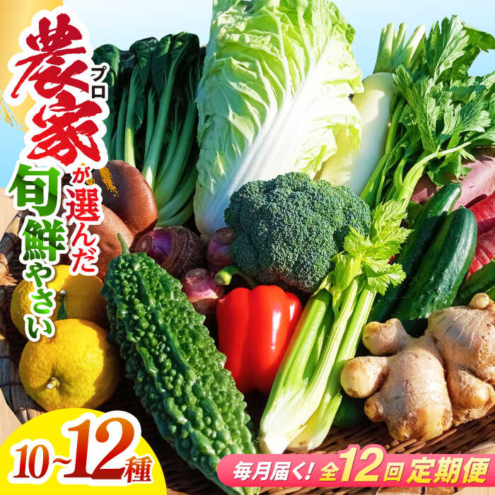 【12回定期便】高知県産 土佐季節の野菜詰め合せセット/毎月 野菜 定期 お野菜 高知 やさい 季節もの【香稜苑】[ATBQ012] 訳あり 不揃い 規格外