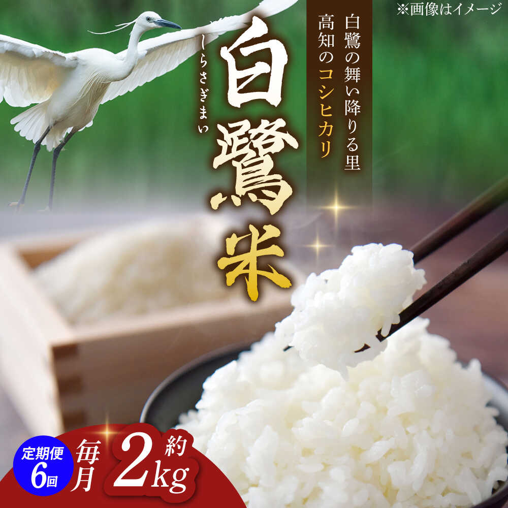 【6回定期便】 R7年度産 特別栽培米 農薬節減！ 白鷺米 コシヒカリ 各約2kg 合計約12kg / 高知 米 お米 精米 　【津ノ宮農園】[ATBV011]
