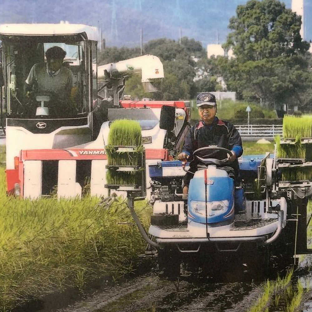 【ふるさと納税】農薬節減！ R7年度産 特別栽培米 白鷺米 コシヒカリ 約2kg ＜2025年9月中旬〜発送＞ / 高知 米 お米 精米 　【津ノ宮農園】[ATBV018] - 画像3