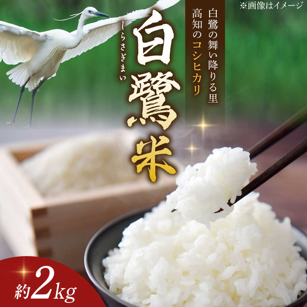 農薬節減！ R7年度産 特別栽培米 白鷺米 コシヒカリ 約2kg ＜2025年9月中旬〜発送＞ / 高知 米 お米 精米 　【津ノ宮農園】[ATBV018]
