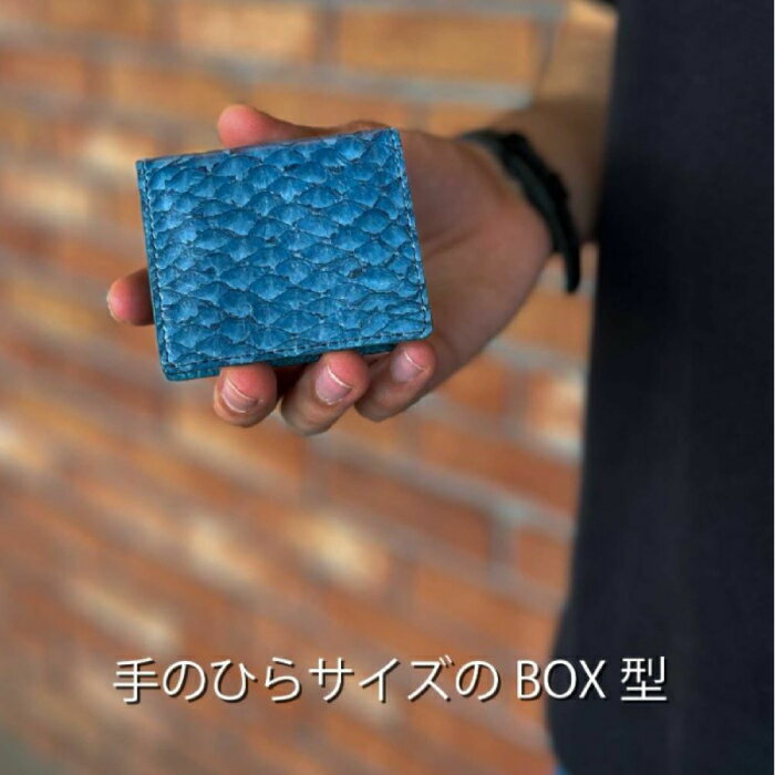 【ふるさと納税】【Sea Green】Ocean Leather BOXコインケース【ブリ】【興洋フリーズ株式会社】[ATBX069-04] サムネイル3