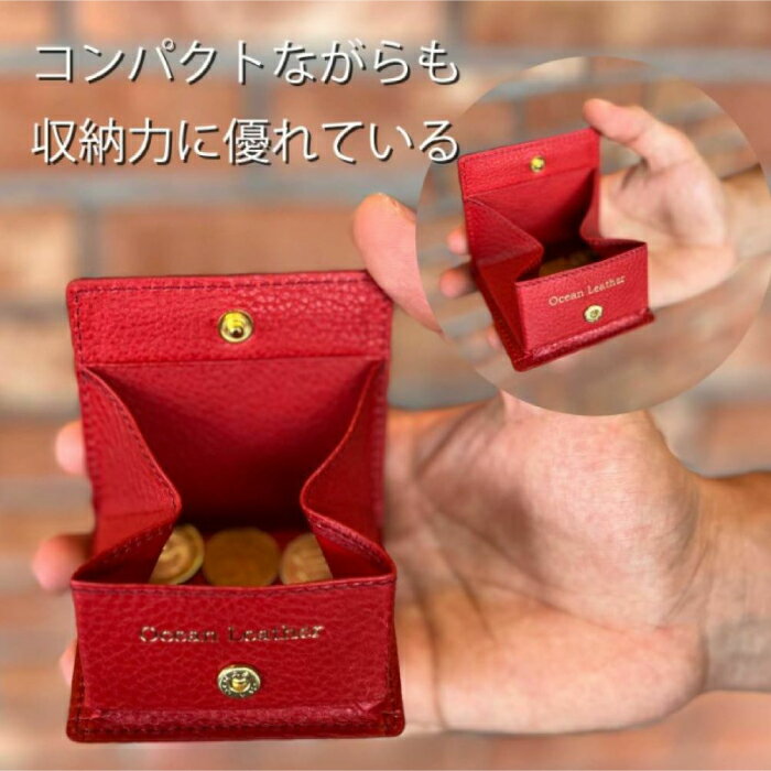 【ふるさと納税】【Carmine】Ocean Leather BOXコインケース【ブリ】【興洋フリーズ株式会社】[ATBX069-05] サムネイル2