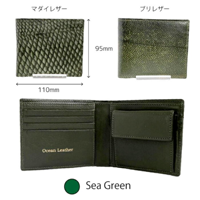 【ふるさと納税】【Sea Green】Ocean Leather 二つ折り財布【ブリ】【興洋フリーズ株式会社】[ATBX071-04] サムネイル2