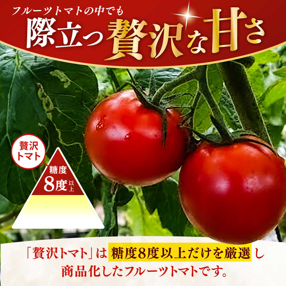 【ふるさと納税】【申込は6月下旬頃まで】高知県高知市産 贅沢フルーツトマト 約2kg /トマト とまと 高知 フルーツ 果物 高知 【片山農園】[ATCI001] - 画像2