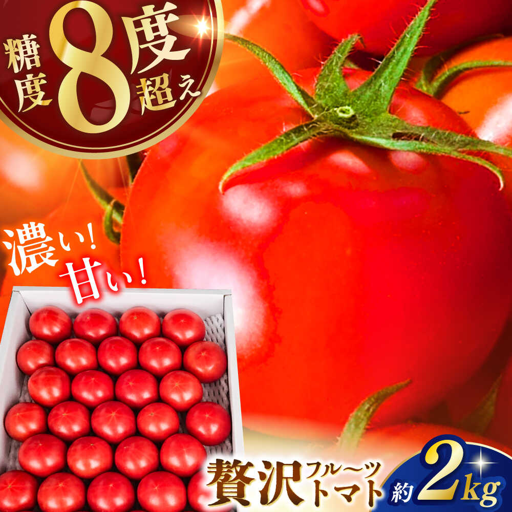 【申込は6月下旬頃まで】高知県高知市産 贅沢フルーツトマト 約2kg /トマト とまと 高知 フルーツ 果物 高知 【片山農園】[ATCI001]