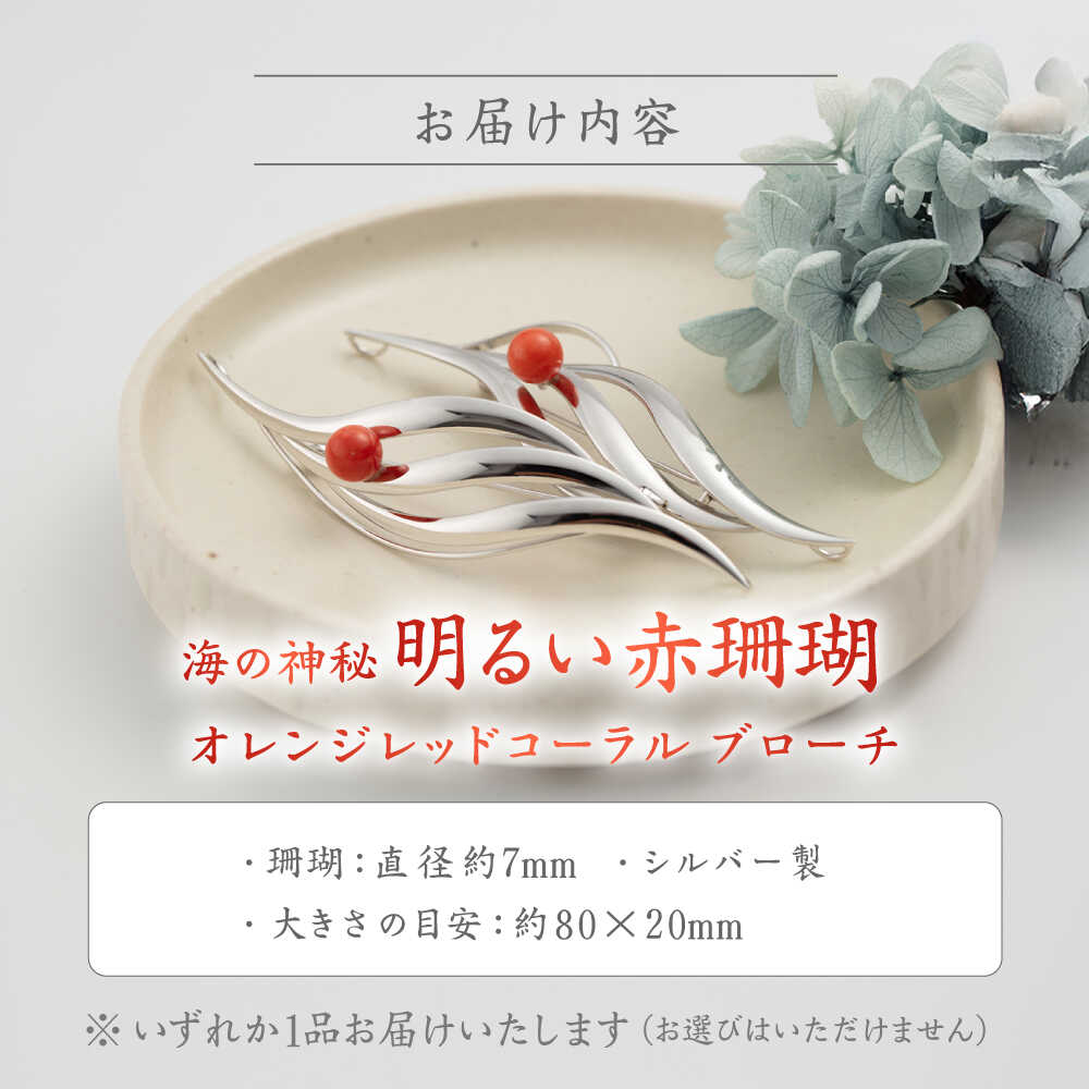 【ふるさと納税】珊瑚ブローチ (1点) 【有限会社米沢サンゴ店】[ATCX007] サムネイル2