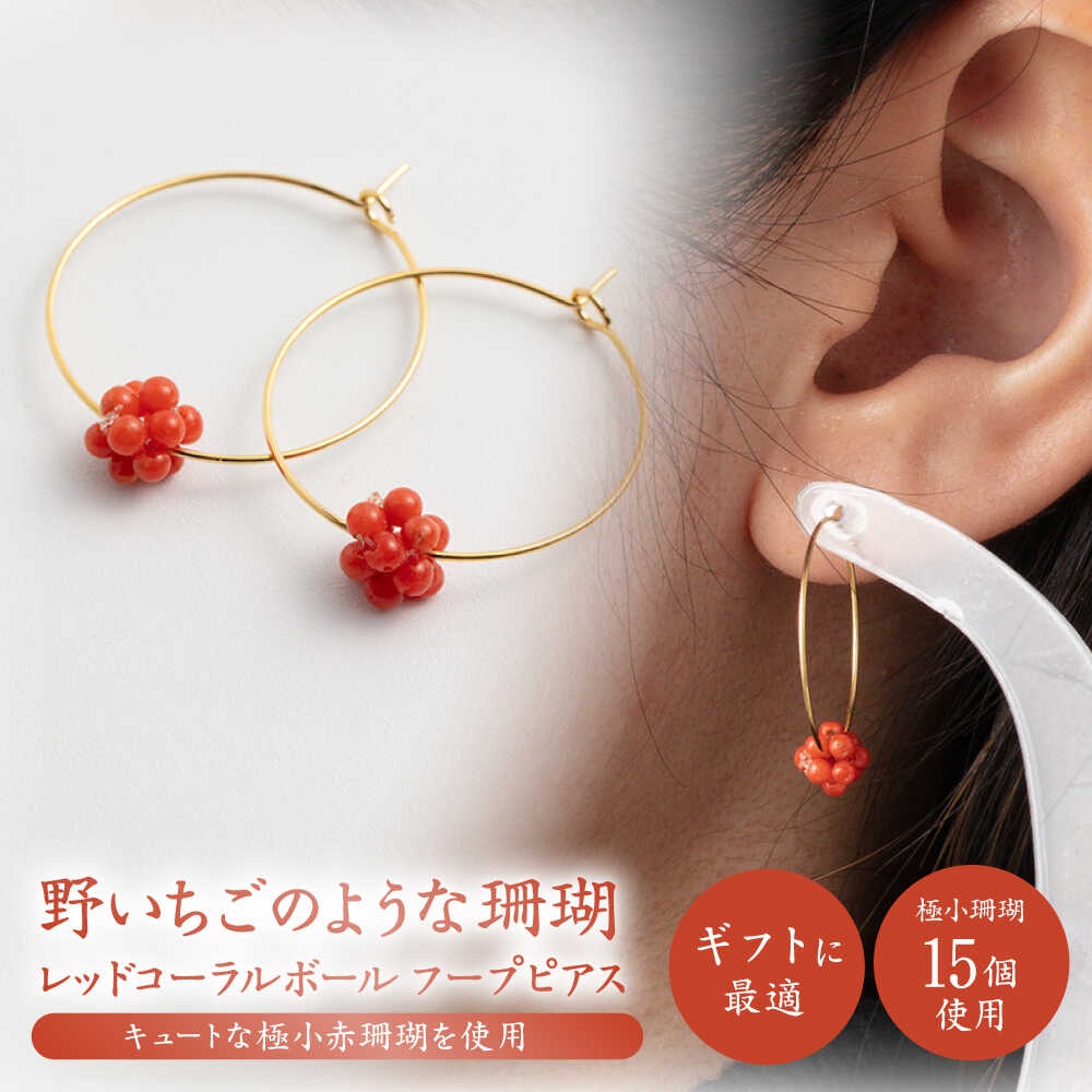 珊瑚のフープピアスボール 【有限会社米沢サンゴ店】[ATCX025]