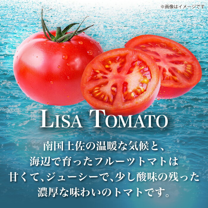 【ふるさと納税】リサフルーツトマト 約2kg トマト とまと 野菜〈2026年1月上旬〜2026年5月末頃発送〉 【株式会社 堀】[ATDA003] - 画像2
