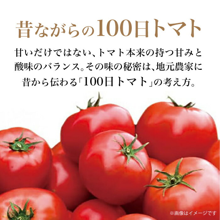 【ふるさと納税】リサフルーツトマト 約2kg トマト とまと 野菜〈2026年1月上旬〜2026年5月末頃発送〉 【株式会社 堀】[ATDA003] - 画像3