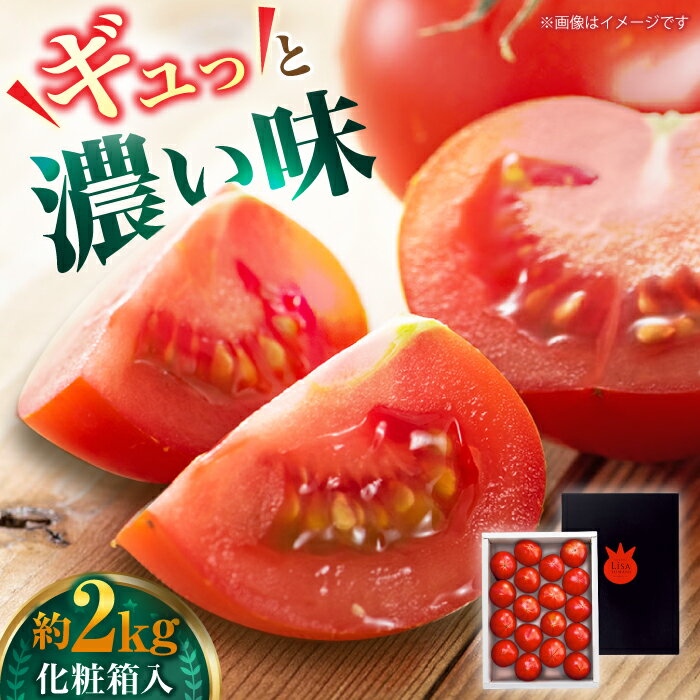 リサフルーツトマト 約2kg トマト とまと 野菜〈2026年1月上旬〜2026年5月末頃発送〉 【株式会社 堀】[ATDA003]