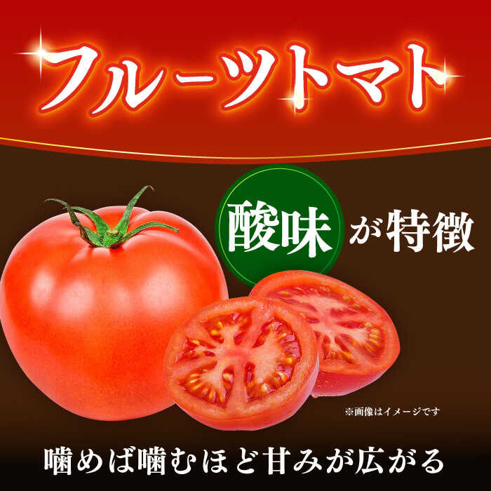 【ふるさと納税】Lisa リサフルーツトマト 約1kg 〈2026年1月上旬～2026年5月末頃発送〉【株式会社　堀】[ATDA008] - 画像2