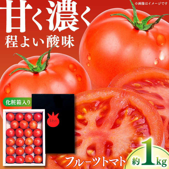 Lisa リサフルーツトマト 約1kg 〈2026年1月上旬～2026年5月末頃発送〉【株式会社　堀】[ATDA008]