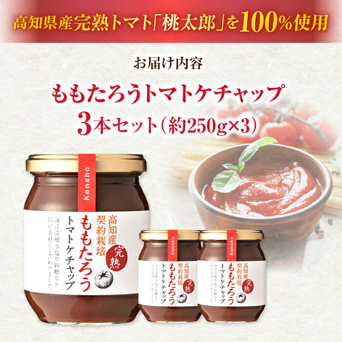 【ふるさと納税】ももたろうトマトケチャップ3本セット 【ケンシヨー食品株式会社】[ATGG001] サムネイル2