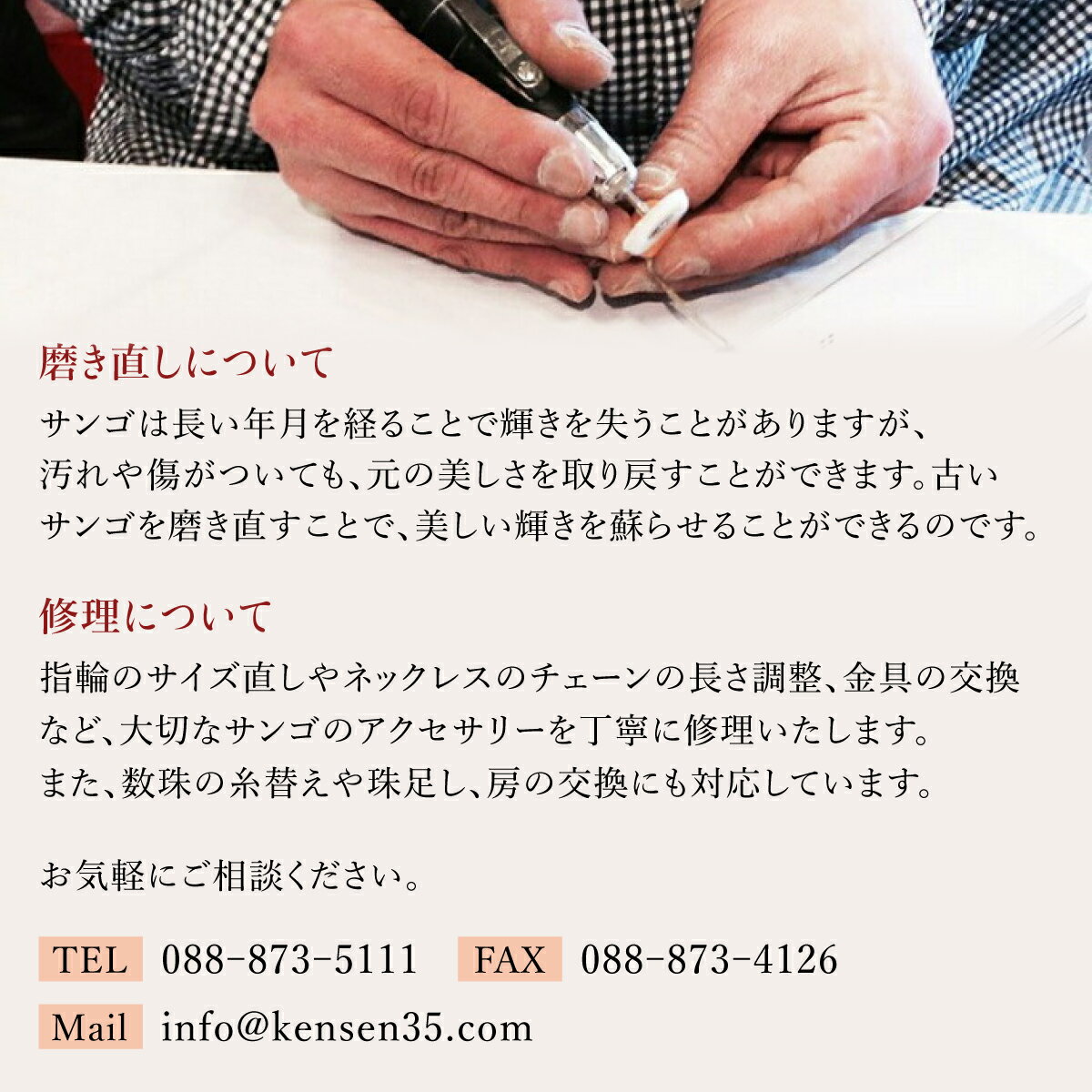 【ふるさと納税】 血赤サンゴ枝 ピアス 赤 レッド サンゴ 珊瑚 さんご レディース 女性用 ファッション アクセサリー かわいい おしゃれ お守り 送料無料 kn001 サムネイル3