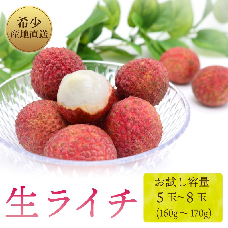 【令和8年6月上旬頃より発送】 お試しパック 生ライチ 国産 室戸海洋深層水仕込み ライチ 果物