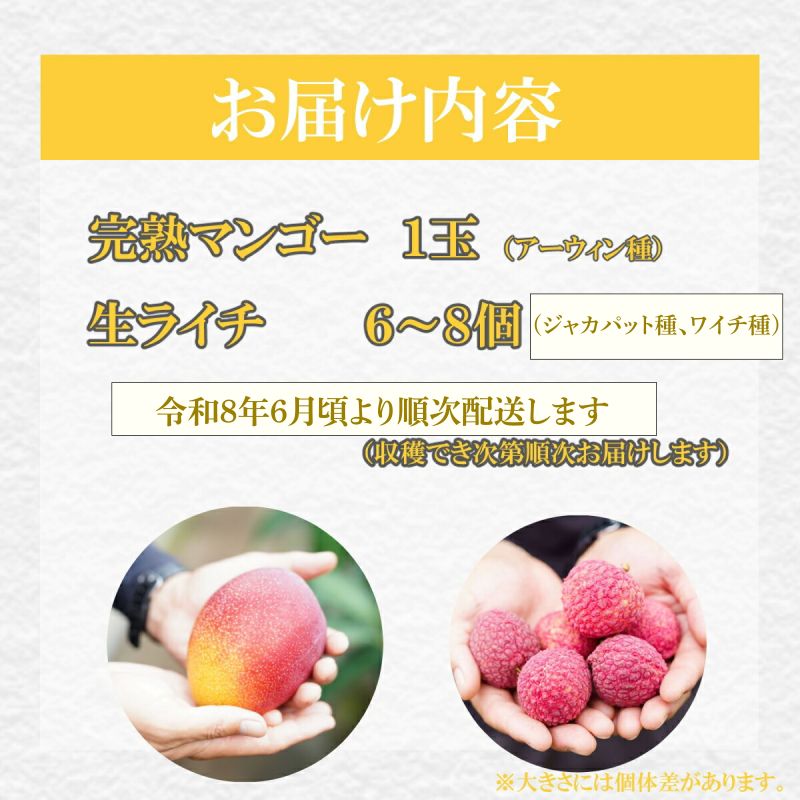 【ふるさと納税】 【令和8年6月上旬ごろより発送】 完熟マンゴーと生ライチのセット マンゴー 1玉 生ライチ 6〜8玉入り 室戸海洋深層水使用 アップルマンゴー （アーウィン） 生ライチ 国産 先行予約 先行受付 果物 サムネイル2