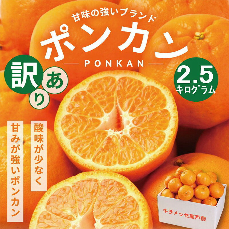 ポンカン 2.5kg | 道の駅直送 訳あり ぽんかん フルーツ 果物 くだもの 柑橘 みかん ミカン 傷あり 不揃い 家庭用 ワケアリ 送料無料 ふるさと納税みかん ふるさと納税果物 ふるさと納税フルーツ 人気みかん 人気果物 人気フルーツ 5000円 高知県 室戸市