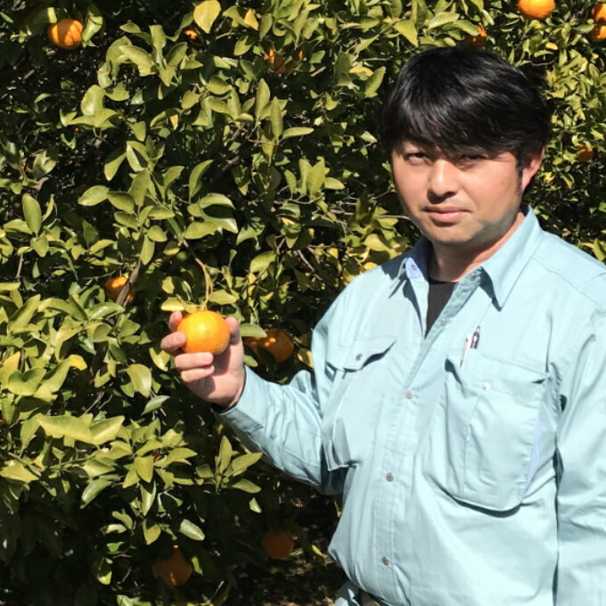 【ふるさと納税】【 先行予約 ・ 2月発送】 ポンカン ぽんかん 高知県 室戸市産 2.5kg 5kg 柑橘 フルーツ 果物 ミカン みかん 送料無料 人気 おすすめ 甘い ジューシー ギフト 冬 旬 sa003 サムネイル3