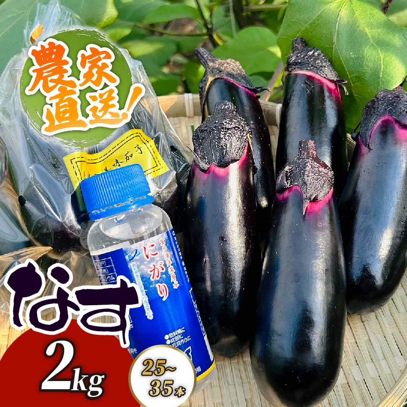 【最短7日以内発送！】 農家直送　土佐の美味茄子の新鮮ナス　2kg　（室戸海洋深層水にがり使用） 野菜 なす ナス 常温 小袋 国産 夏野菜 茄子 小分け 旬 7000円 高知 bn001