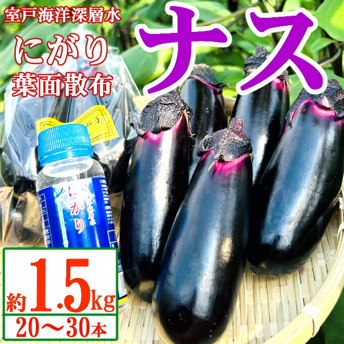 【最短7日以内発送！】 農家直送　土佐の美味茄子の新鮮ナス　1.5kg　（室戸海洋深層水にがり使用） 野菜 なす ナス 常温 小袋 国産 夏野菜 茄子 小分け 旬 5000円 高知 bn019
