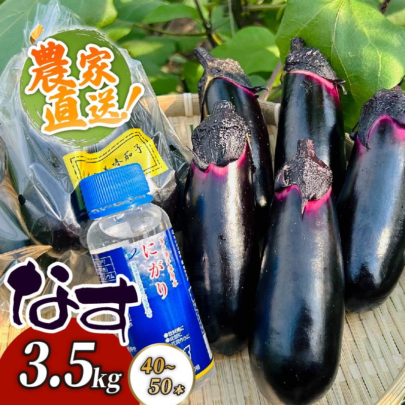 【最短7日以内発送！】 農家直送　土佐の美味茄子の新鮮ナス　3．5kg　（室戸海洋深層水にがり使用） 野菜 なす ナス 常温 小袋 国産 夏野菜 茄子 小分け 旬 高知 bn004