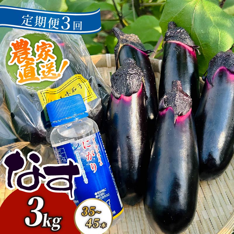 【定期便3回発送】 農家直送　土佐の美味茄子の新鮮ナス　3kg　（室戸海洋深層水にがり使用） 野菜 なす ナス 常温 小袋 国産 夏野菜 茄子 小分け 旬 高知 bn009