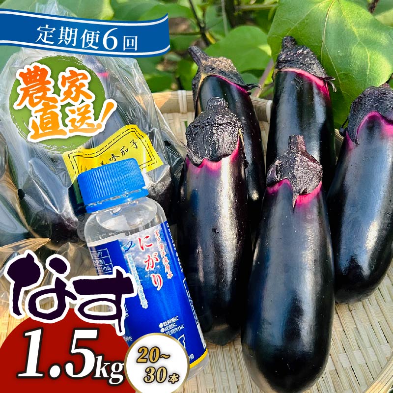 【定期便6回発送】 農家直送　土佐の美味茄子の新鮮ナス　1.5kg　（室戸海洋深層水にがり使用） 野菜 なす ナス 常温 小袋 国産 夏野菜 茄子 小分け 旬 高知 bn021