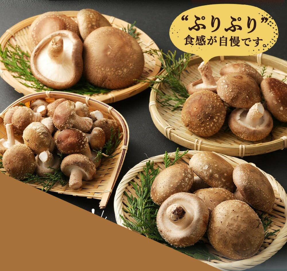 【ふるさと納税】 佐喜浜しいたけ 約1kg 20個〜30個 生しいたけ 菌床しいたけ 椎茸 シイタケ 野菜 きのこ キノコ 10000円 1万円 送料無料 nc007 - 画像3