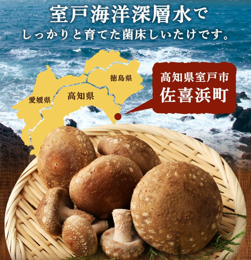 【ふるさと納税】 佐喜浜しいたけ 約1kg 20個〜30個 生しいたけ 菌床しいたけ 椎茸 シイタケ 野菜 きのこ キノコ 10000円 1万円 送料無料 nc007 - 画像2