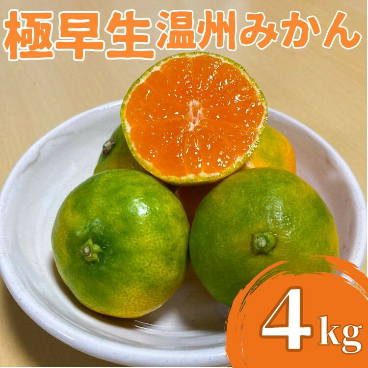 【先行予約】極早生温州みかん4kg 高知県室戸市産 みかん ミカン 柑橘 フルーツ 果物 産地直送 農家直送 数量限定 果物 ジュース ゼリー デザート