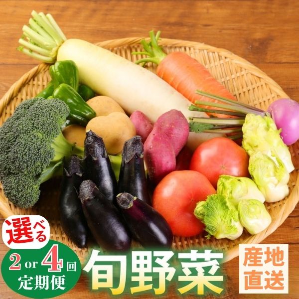【選べる定期便】 旬の野菜 定期便 2回 4回 野菜セット 詰め合わせ 春夏秋冬 旬 野菜 おまかせ 新鮮 やさい レシピ付き 野菜スープ 野菜ジュース 産地直送 おすすめ 故郷納税 人気 野菜定期 野菜定期便 野菜訳あり 野菜詰め合わせ 高知県 室戸市