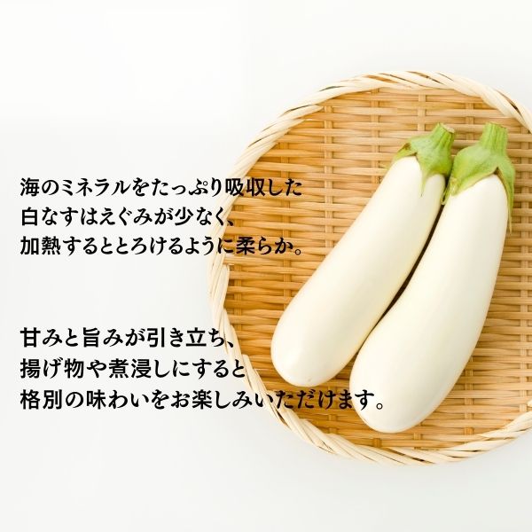 【ふるさと納税】 【訳あり】 農家直送 白茄子 土佐の美味茄子の新鮮ナス 8本 2kg 野菜 なす ナス 常温 小袋 国産 夏野菜 茄子 小分け 旬 高知 - 画像3