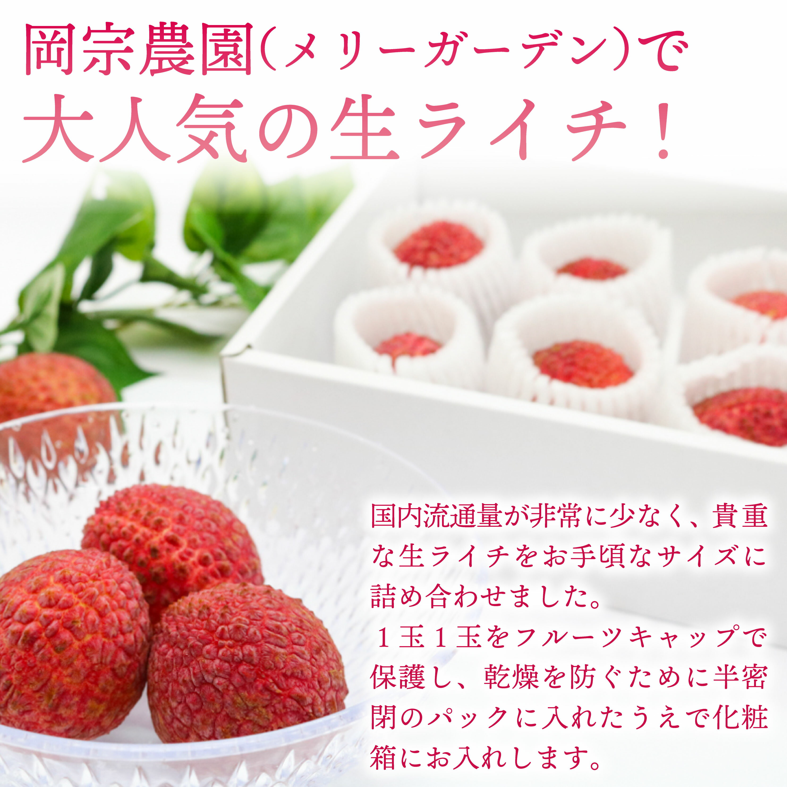 【ふるさと納税】 【令和8年6月上旬頃より発送】 お試しパック 生ライチ 国産 室戸海洋深層水仕込み ライチ 果物 サムネイル2