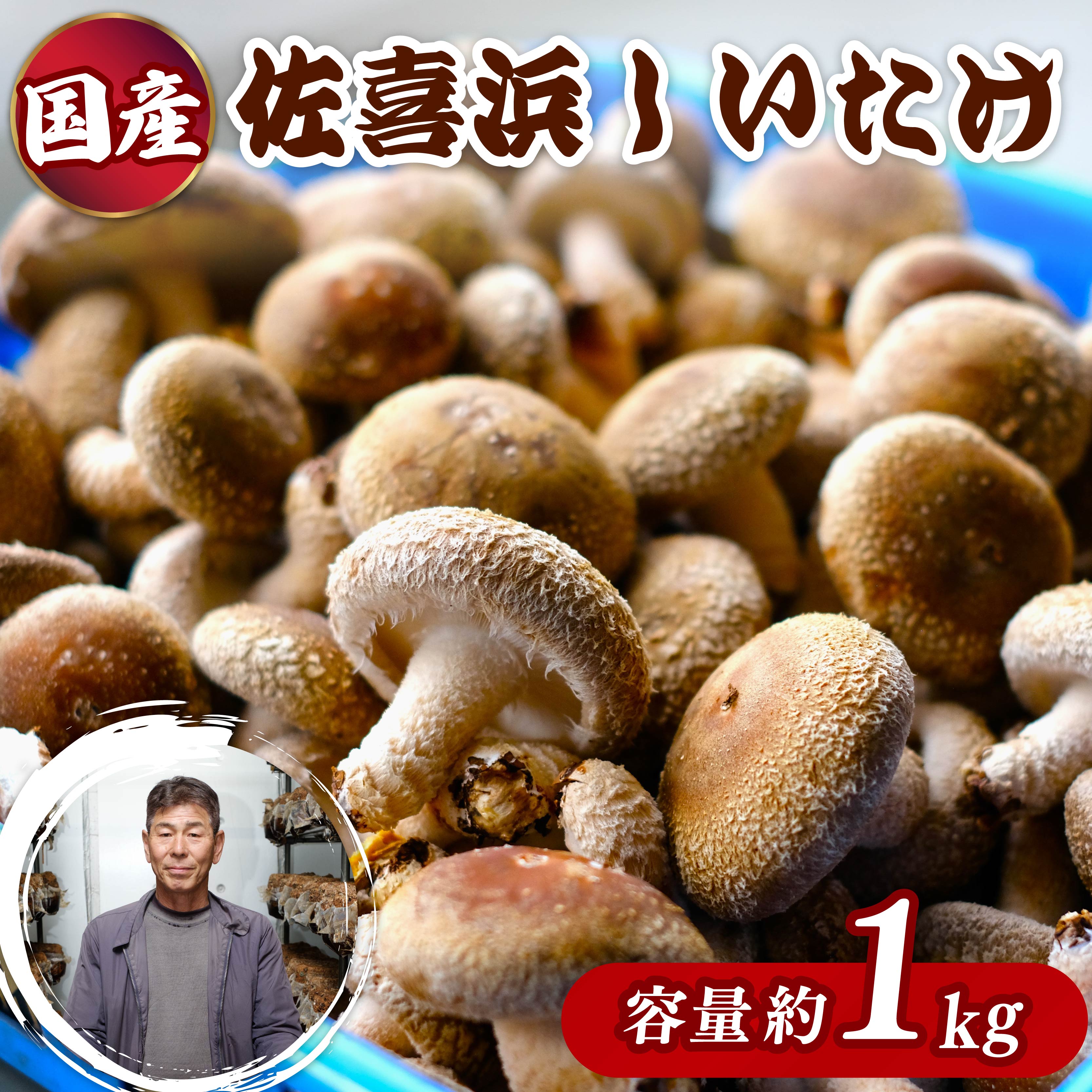 佐喜浜しいたけ 約1kg 20個〜30個 生しいたけ 菌床しいたけ 椎茸 シイタケ 野菜 きのこ キノコ 10000円 1万円 送料無料 nc007