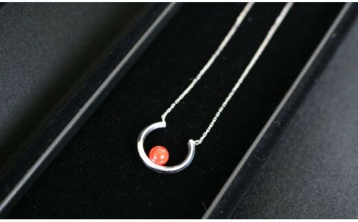 【ふるさと納税】 赤サンゴ 馬蹄デザイン ペンダント | アクセサリー ジュエリー さんご 珊瑚 赤珊瑚 おすすめ 人気 プレゼント 贈答用 お祝い 誕生日 プレゼント クリスマス カジュアル レディース 女性 男性 メンズ シンプル バレンタイン 故郷納税 高知県 室戸市 サムネイル3