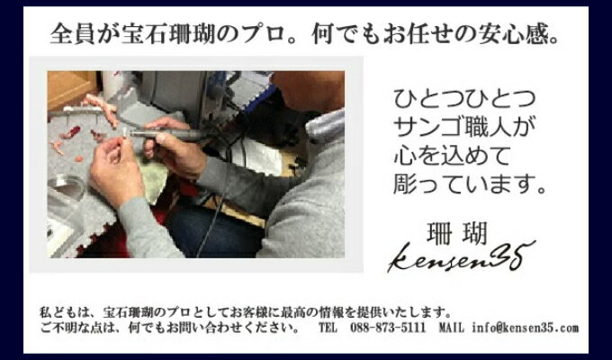 【ふるさと納税】 血赤サンゴ枝 ピアス 赤 レッド サンゴ 珊瑚 さんご レディース 女性用 ファッション アクセサリー かわいい おしゃれ お守り 送料無料 kn001 サムネイル2
