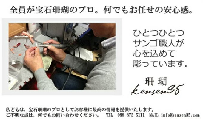 【ふるさと納税】 赤珊瑚本連数珠 赤サンゴ約5.5mm玉使用 ケース付き 念珠 葬儀 法事 法要 葬式 じゅず 男性用 女性用 送料無料 kn008 サムネイル3
