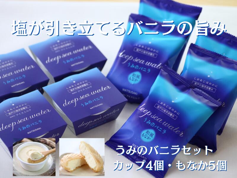 塩バニラアイス 9個セット 室戸海洋深層水仕込み 無添加 ご当地スイーツ もなか＆カップ 高知 アイスクリーム 送料無料 ギフト対応