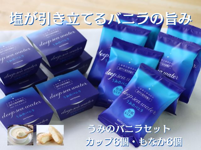 塩バニラアイス 12個セット 室戸海洋深層水仕込み 無添加 ご当地スイーツ もなか＆カップ 高知 アイスクリーム 送料無料 ギフト対応