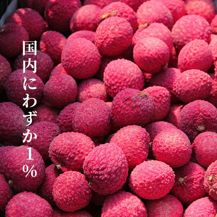 【ふるさと納税】 先行予約 生ライチ 令和8年産 5個 ～ 8個 12個 ～18個 選べる おためし 定番 ライチ メリーガーデン 高級 贈答 ギフト フルーツ R8年産 果物 旬 産地直送 国産 新鮮 特産品 季節限定 数量限定 フレッシュ デザート おやつ 贅沢 プレゼント 安芸市 高知県 サムネイル2