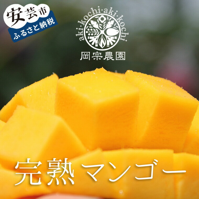 【ふるさと納税】 完熟マンゴー 生ライチ セット フルーツ 果物 くだもの 季節限定 期間限定 数量限定 旬 限定 国産 贈答 ギフト 贈り物 プレゼント デザート スイーツ アレンジ プリン ケーキ スムージー 国産 メリーガーデン お取り寄せ おすすめ ギフト 高知県安芸市 サムネイル2