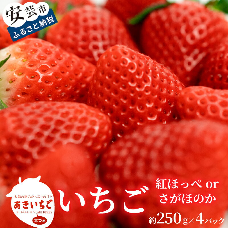 【先行予約】 いちご 紅ほっぺ さがほのか 約 1kg ( 約 250g × 4パック ) 【2025年12月～発送予定】 果物 フルーツ イチゴ 苺 小分け パック 期間限定 季節限定 数量限定 旬 高知県産 高知県安芸市