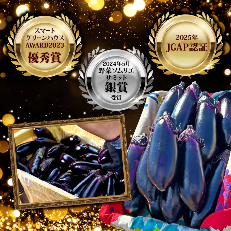 【ふるさと納税】 朝採れ ナス 選べる 1.5kg or 3kg 農家直送 新鮮 茄子 なす ナスビ 薄皮 漬物 味噌汁 カレー 中華料理 野菜 夏野菜 ベジタブル 農産物 旬 季節 食材 料理 レシピ 健康 ビタミン ミネラル 栄養 食物繊維 安芸市 高知県 - 画像3