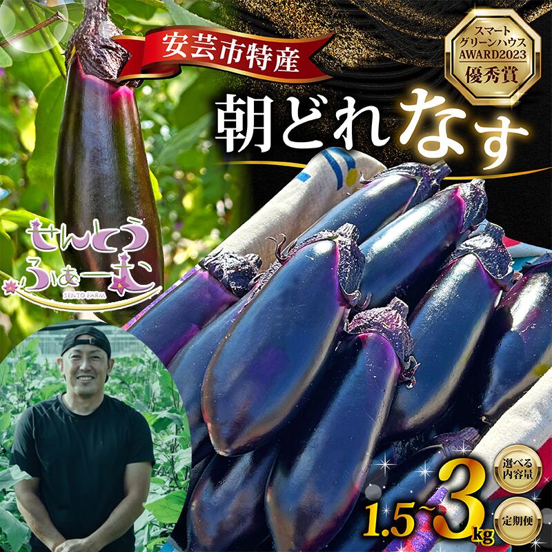 朝採れ ナス 選べる 1.5kg or 3kg 農家直送 新鮮 茄子 なす ナスビ 薄皮 漬物 味噌汁 カレー 中華料理 野菜 夏野菜 ベジタブル 農産物 旬 季節 食材 料理 レシピ 健康 ビタミン ミネラル 栄養 食物繊維 安芸市 高知県