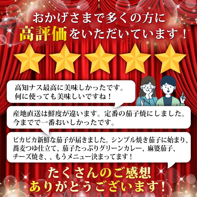 【ふるさと納税】 朝採れ ナス 選べる 1.5kg or 3kg 農家直送 新鮮 茄子 なす ナスビ 薄皮 漬物 味噌汁 カレー 中華料理 野菜 夏野菜 ベジタブル 農産物 旬 季節 食材 料理 レシピ 健康 ビタミン ミネラル 栄養 食物繊維 安芸市 高知県 - 画像2